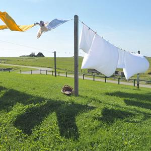 Karabina ile 8mm Naylon Mıknatıs Olta 65 Feet Emniyet Halat 9